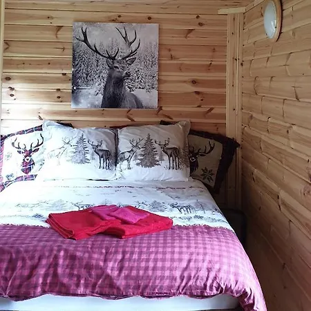 Chalet White Wood Tiny House