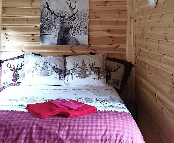 Chalet White Wood Tiny House